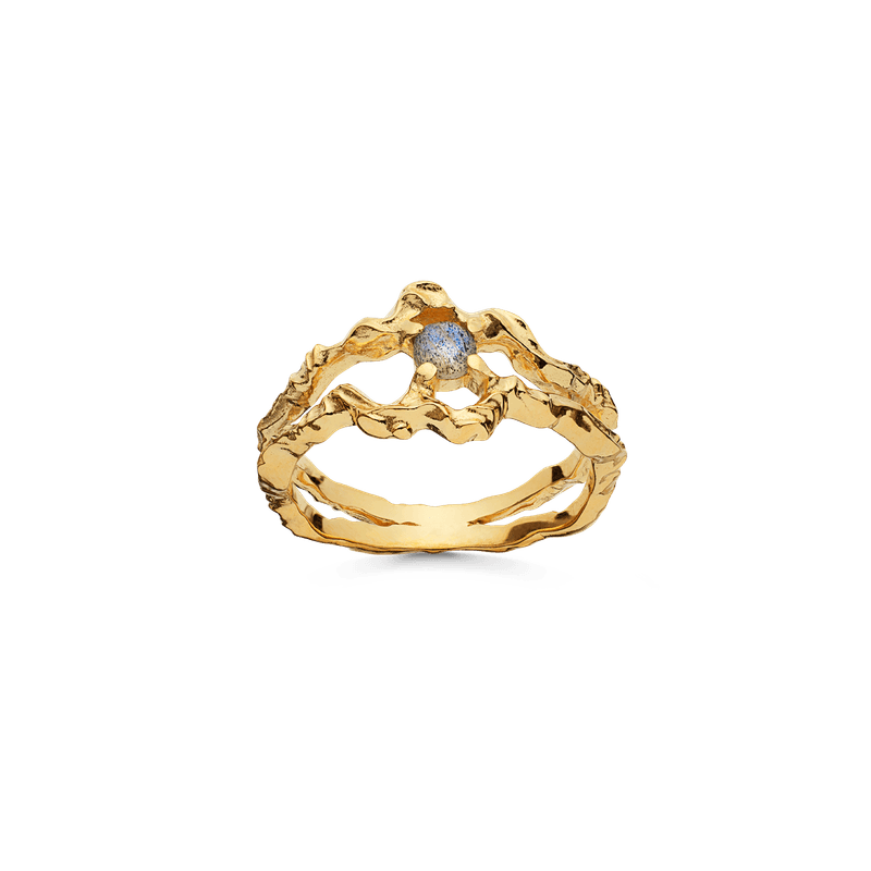 Shelly Ring