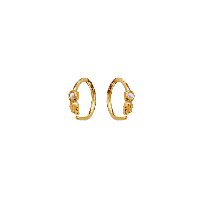 Hovedbilde Florus Earrings