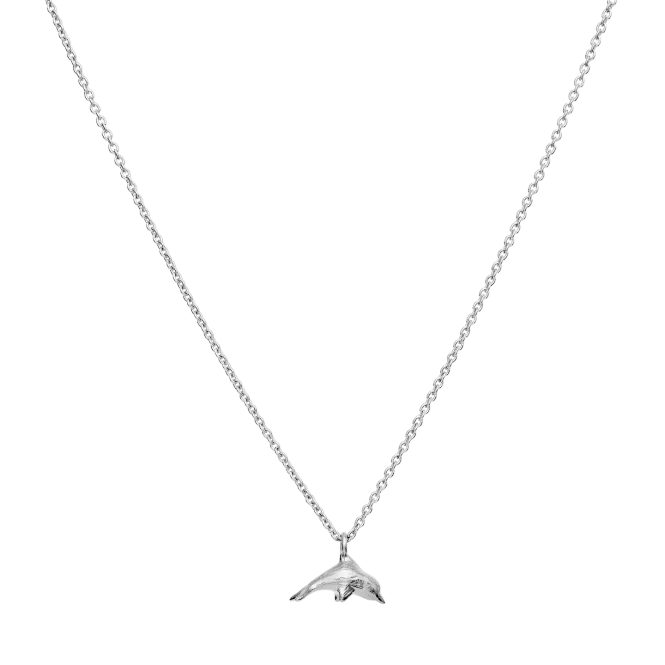 Hovedbilde Tide Necklace Sølv