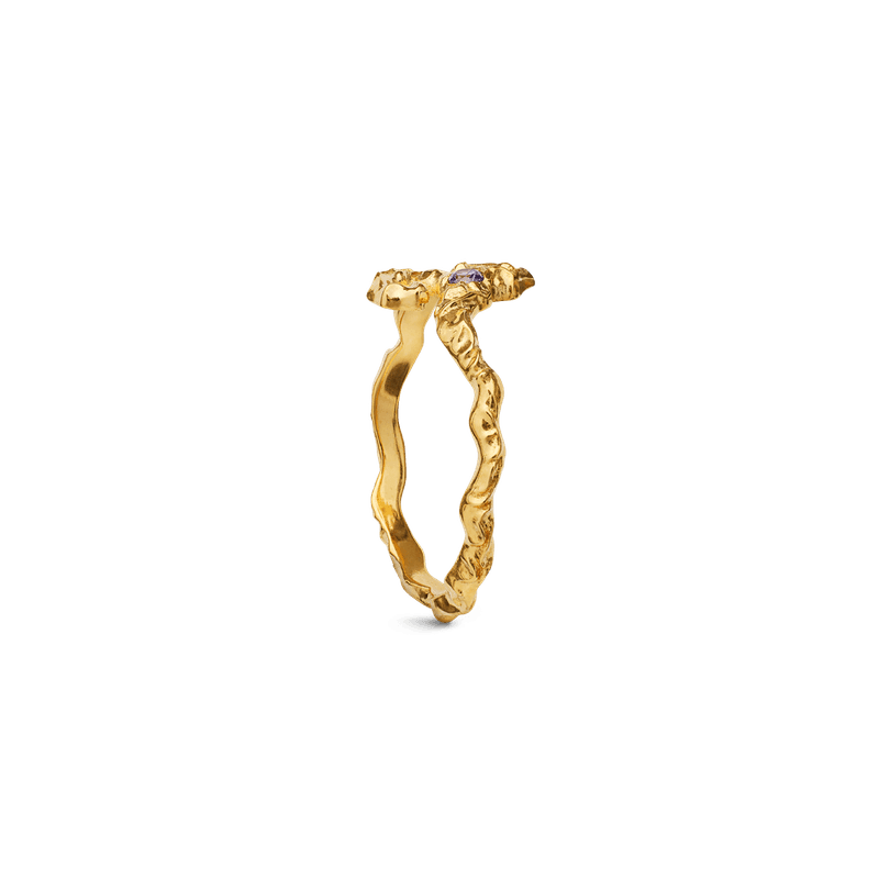 Tenti Ring