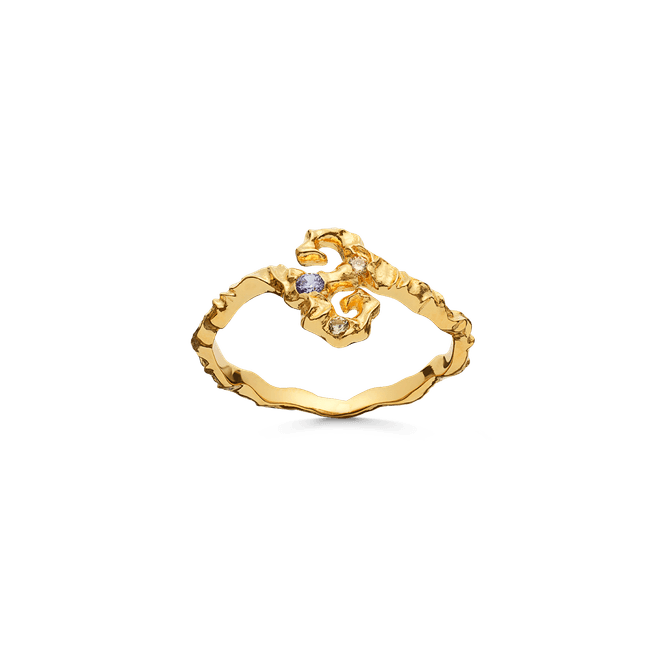 Hovedbilde Tenti Ring